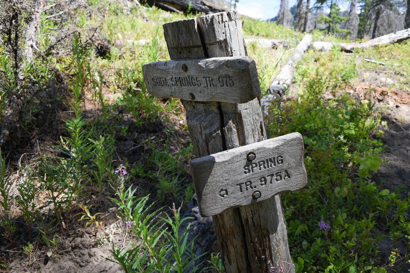 Sign at upper junction of loop