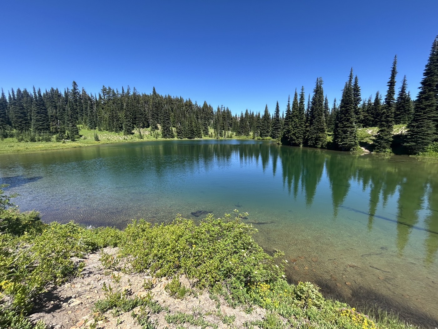 Sheep Lake