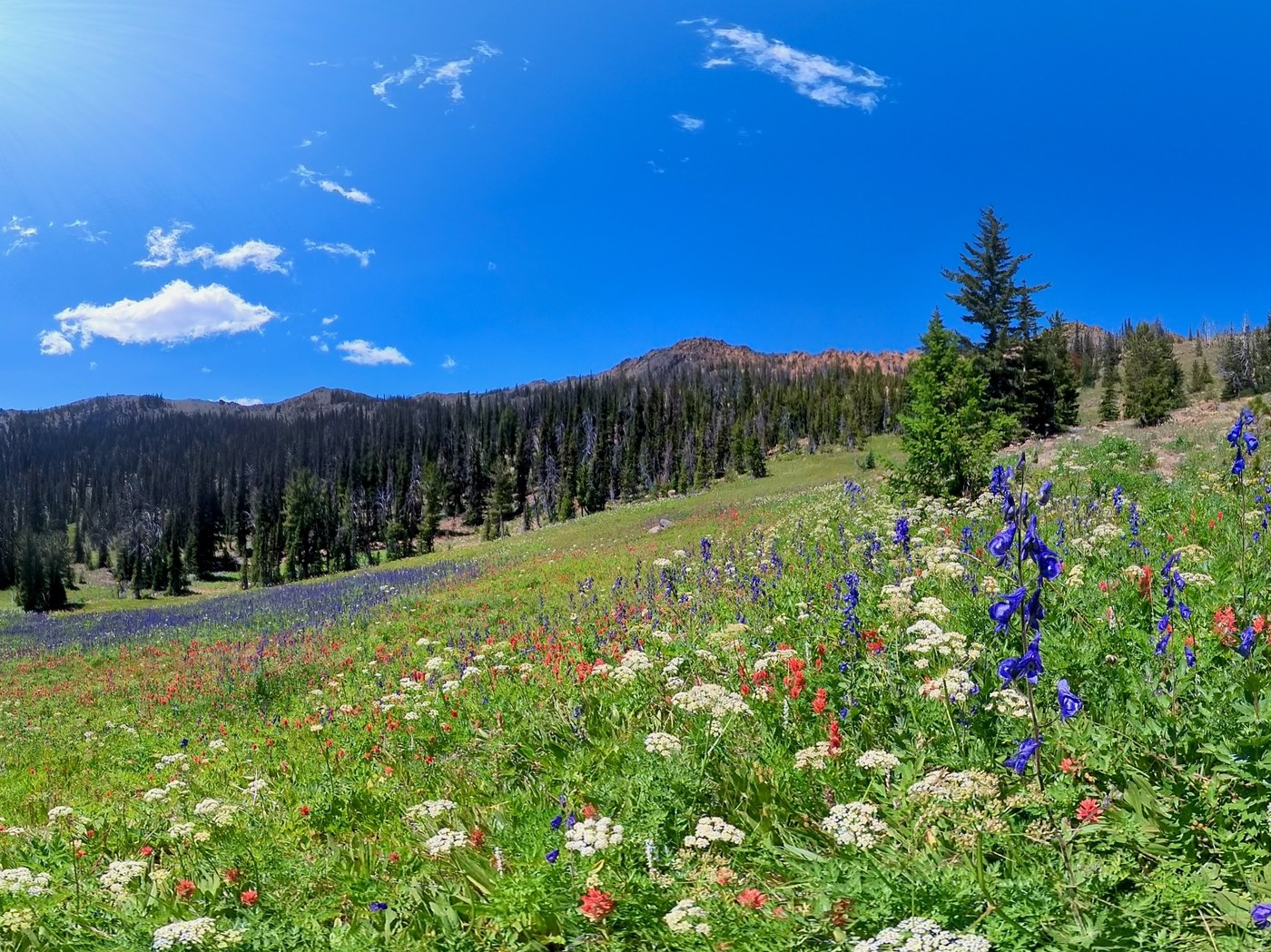 Bean Creek Basin