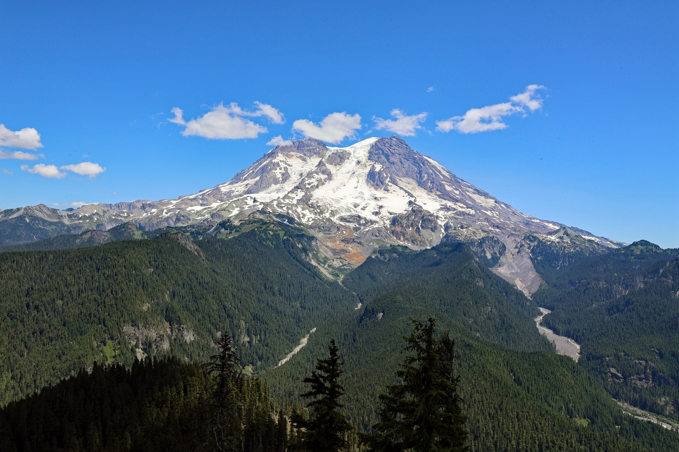 Mt. Rainier from the lookout tower