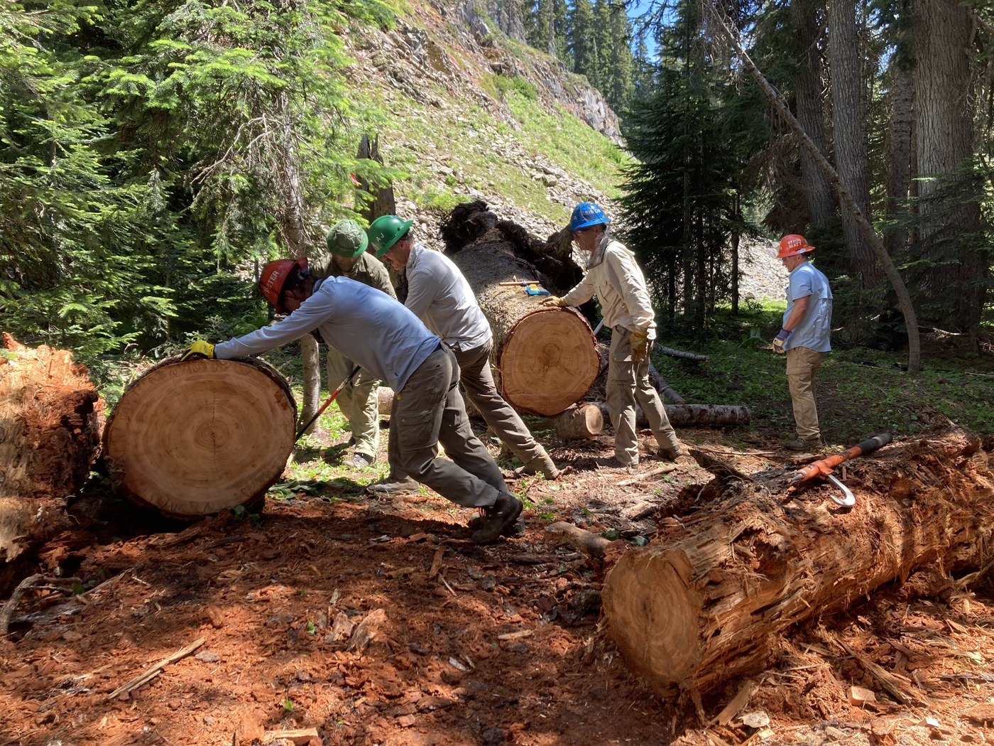 Clearing trail takes teamwork