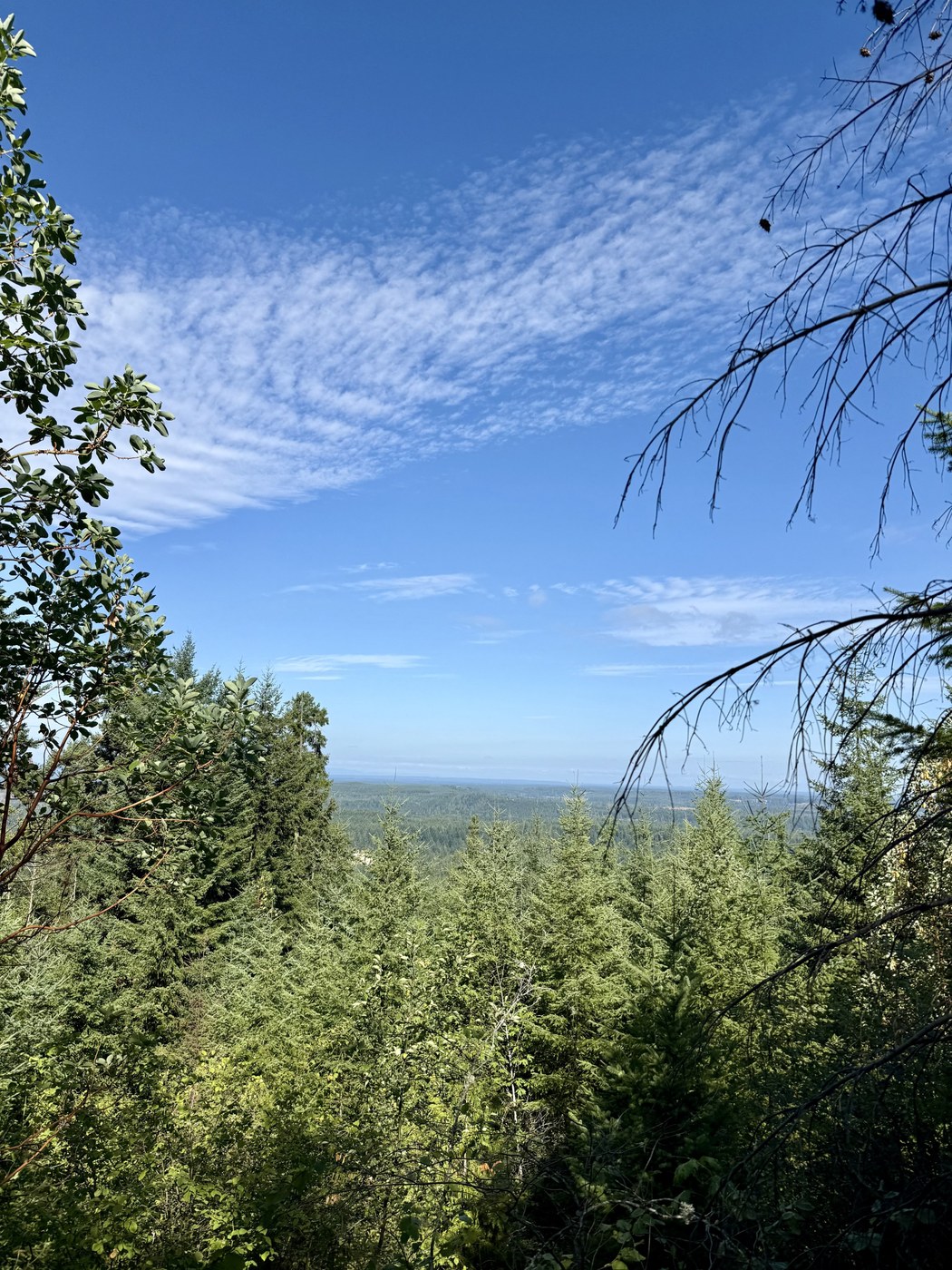 Views over the valley