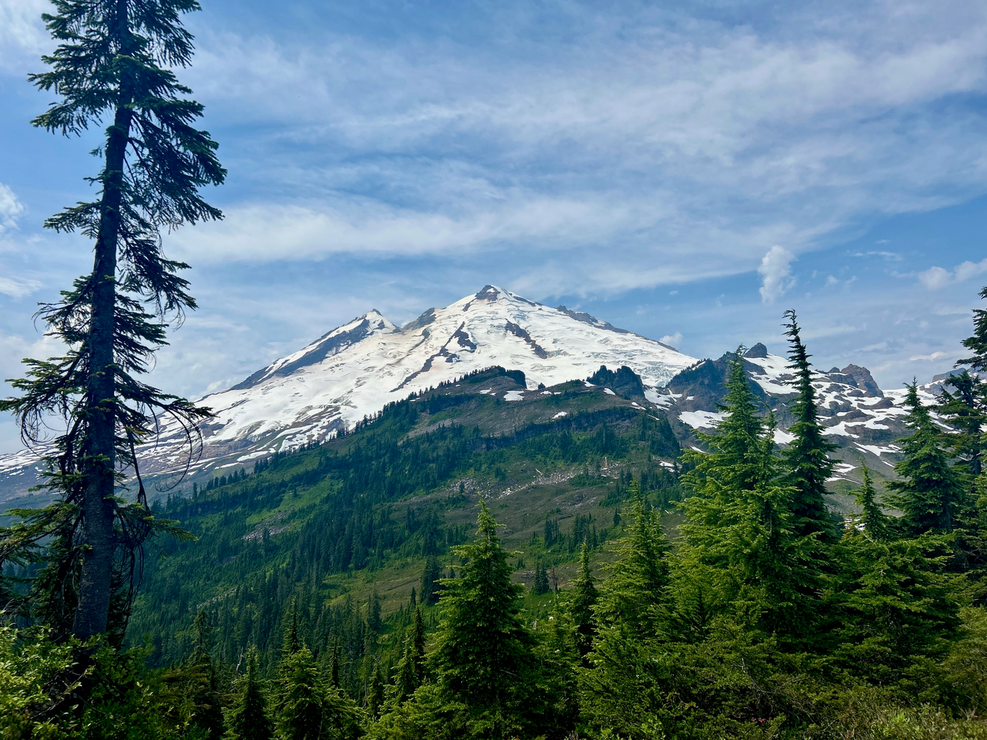 Mt. Baker from Rainbow Ridge