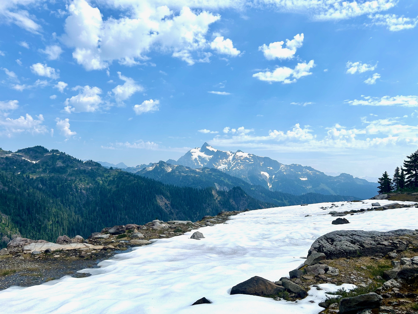 Mt. Shuksan from Rainbow Ridge