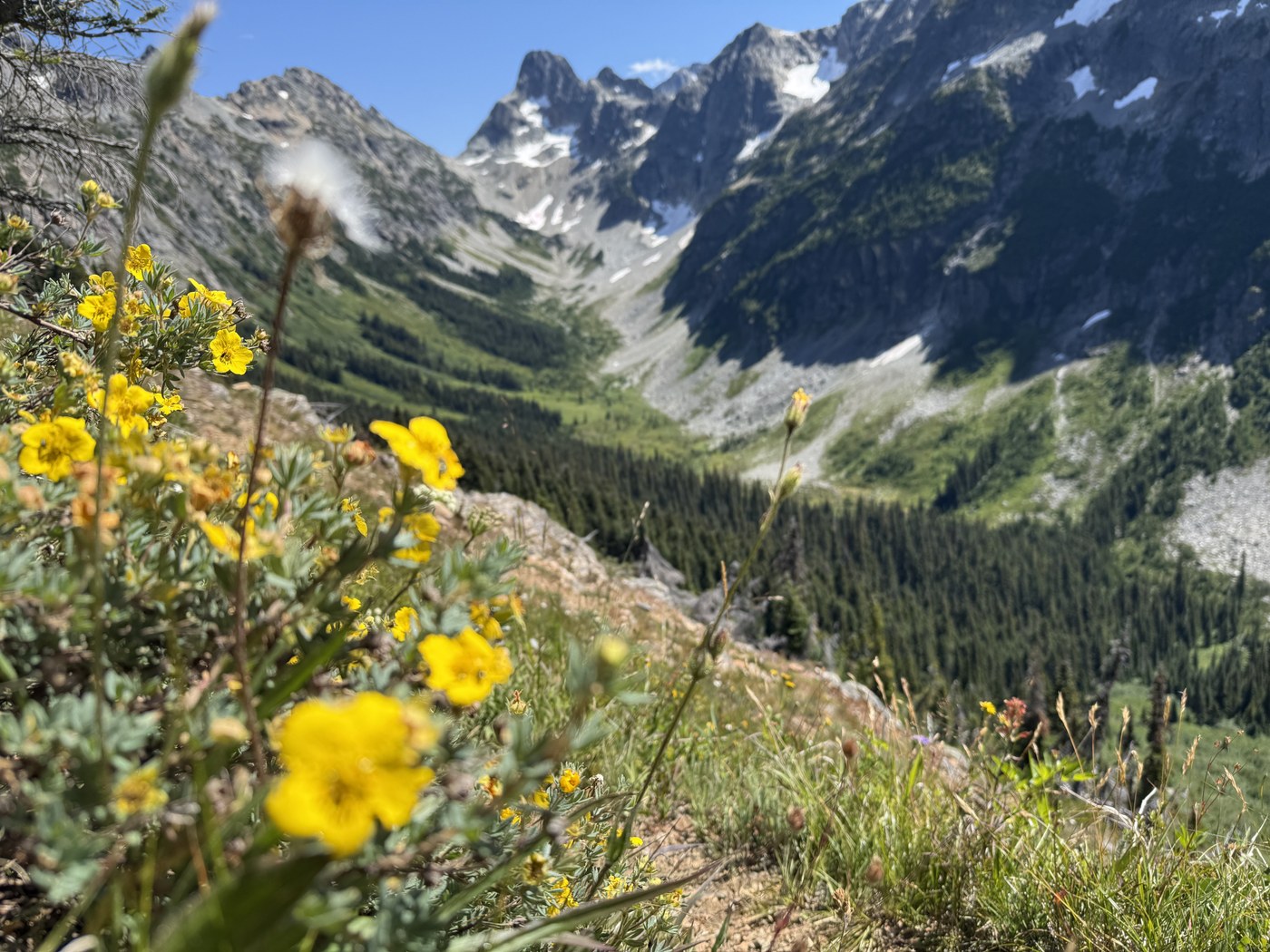 Coming over Easy Pass