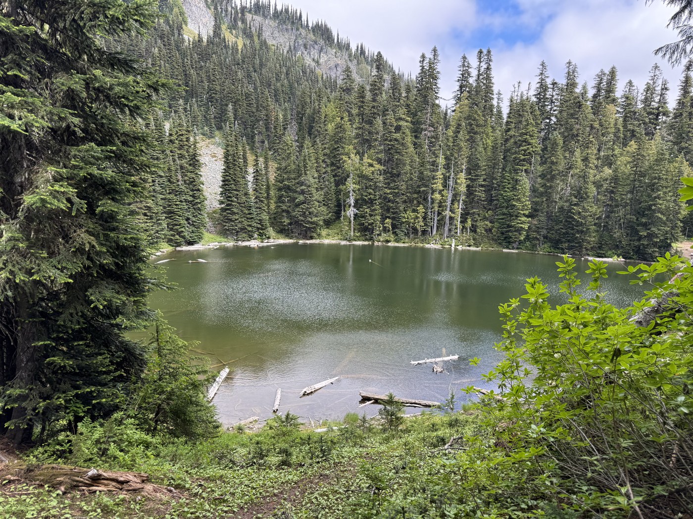 Forest Lake