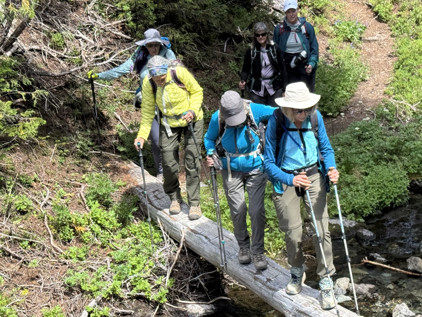 Log Bridge Crossing