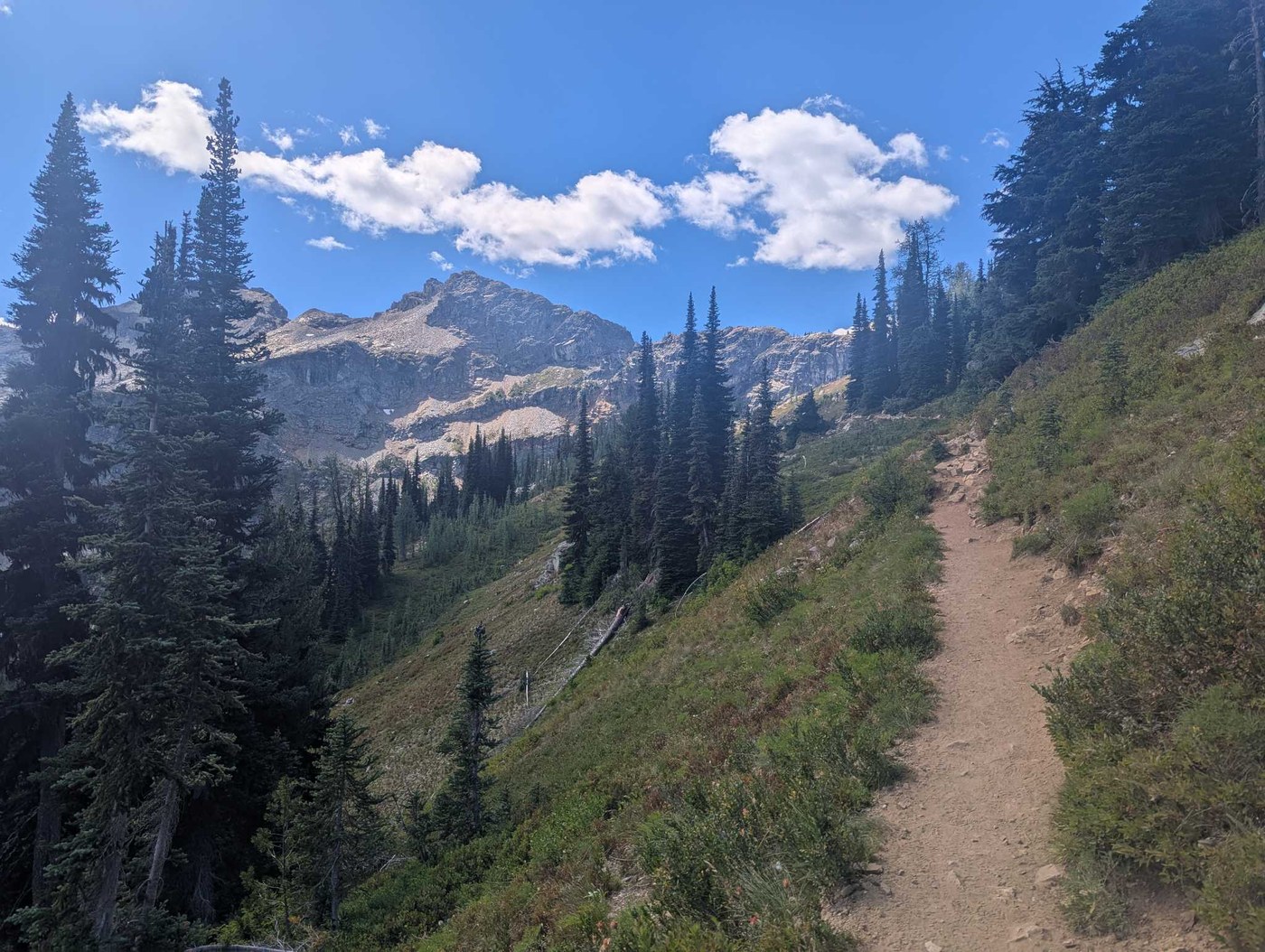 Heather - Maple Pass Loop by mackfu