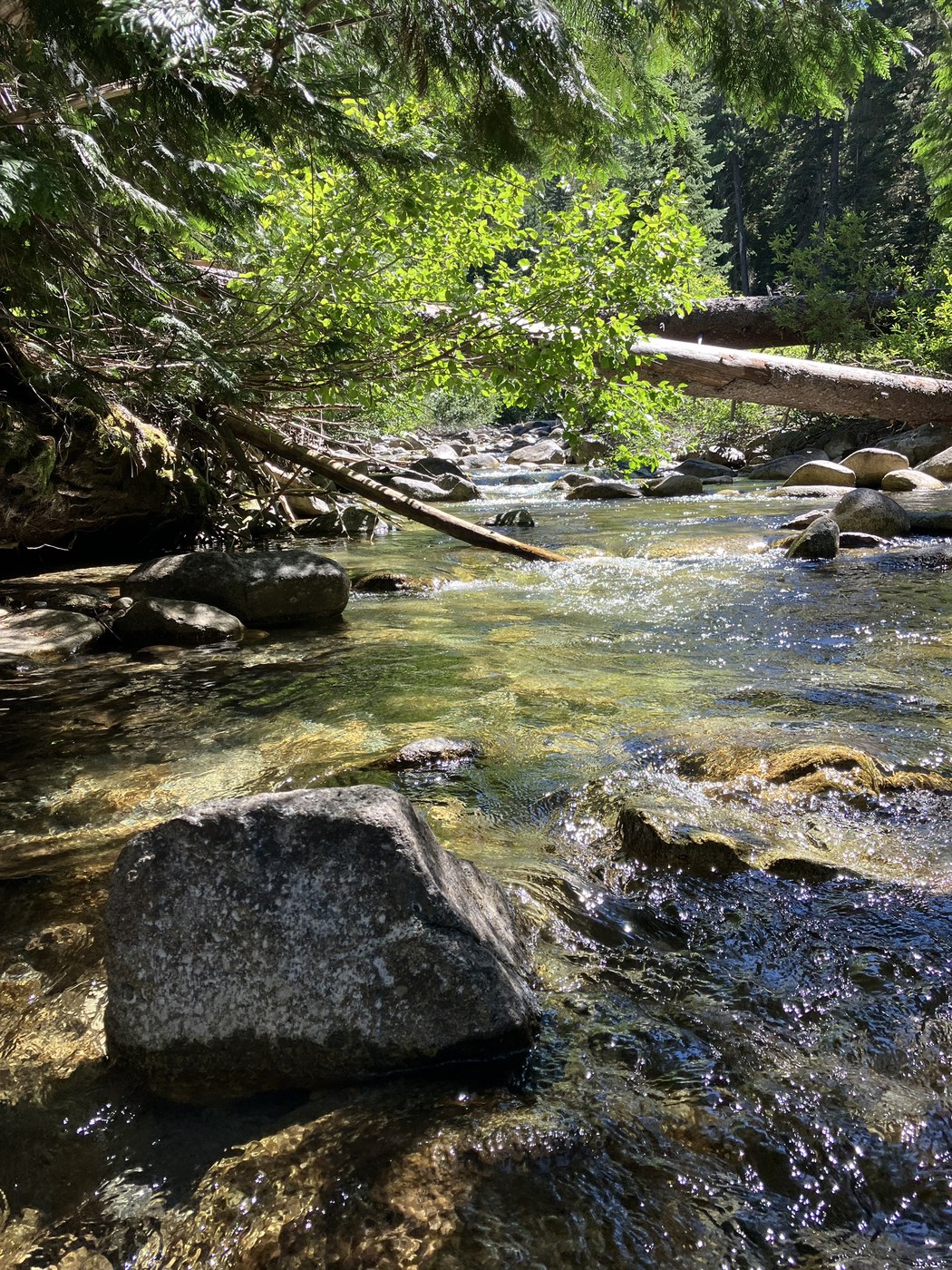 Stehekin to Rainy Pass by cpow