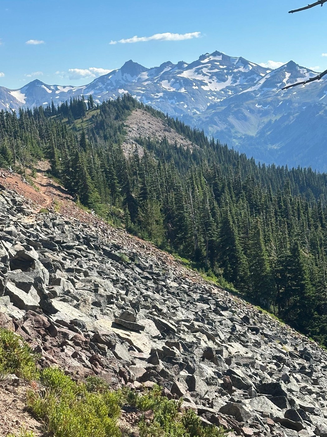 On PCT in Goat Rocks Wilderness
