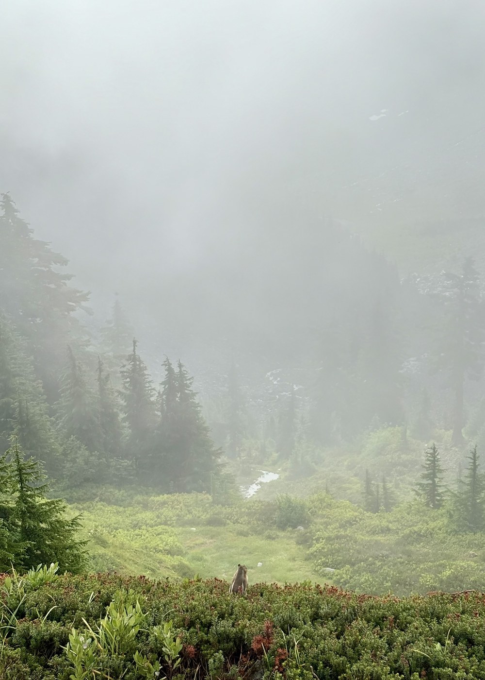 Cascade Pass and Sahale Arm by Hikergirl48