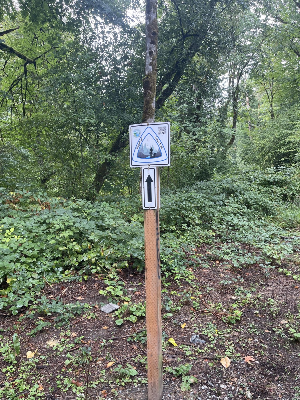 signs look like this