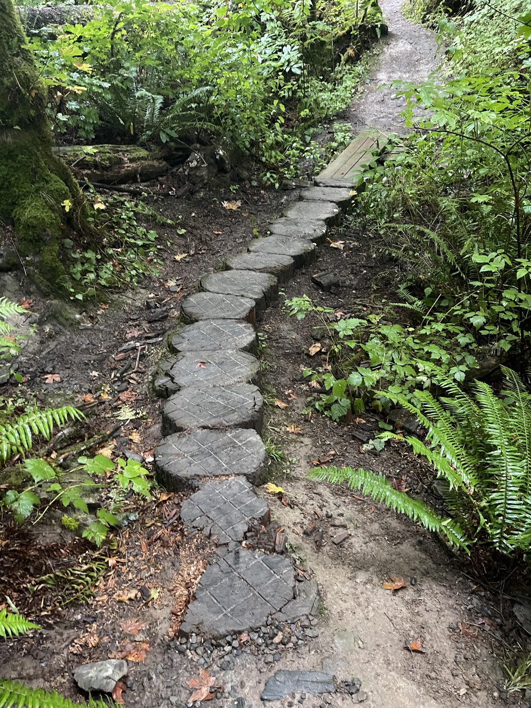 trail