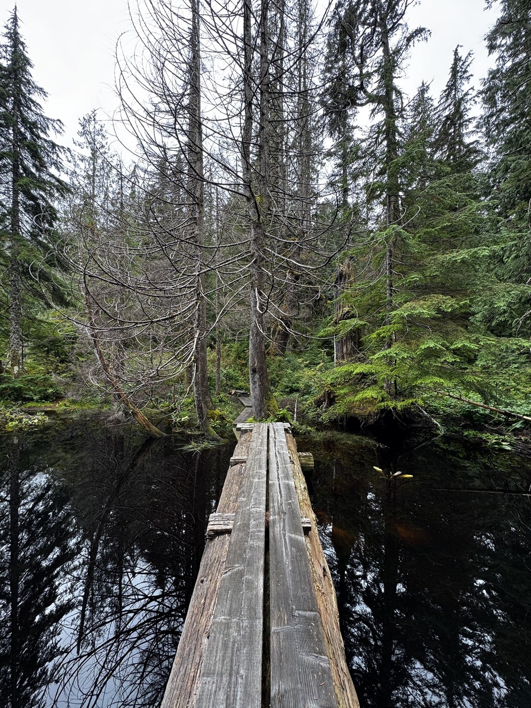 Ashland Lakes by Shellyf