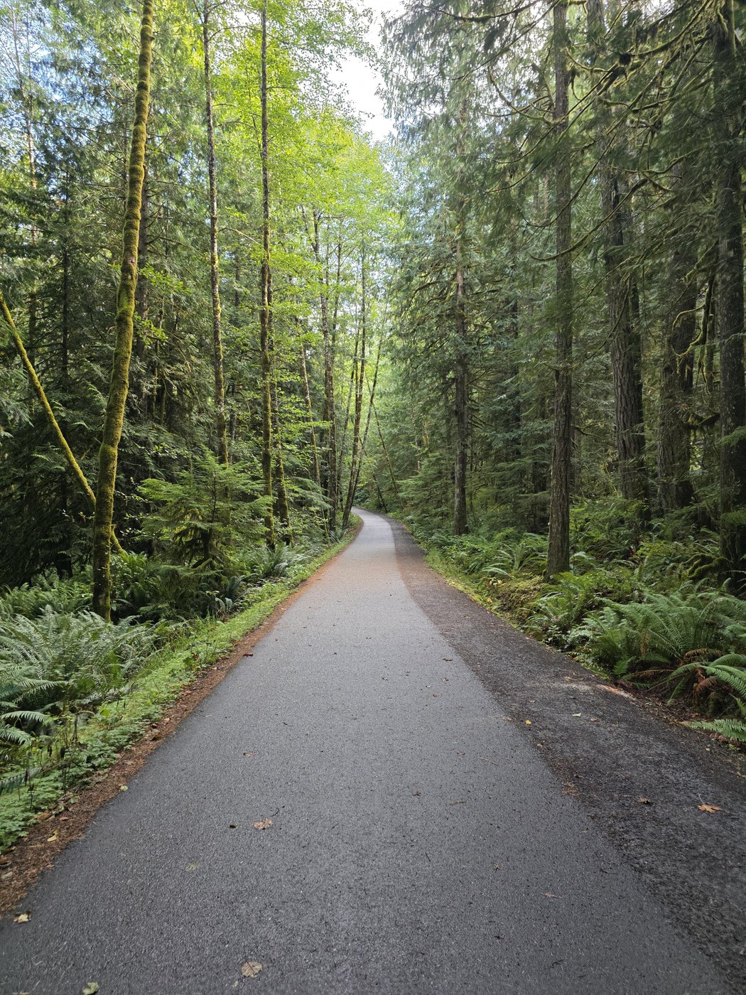start of trail