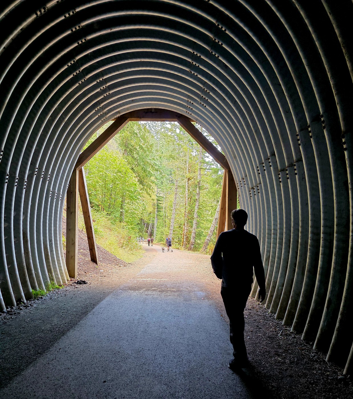 Tunnel near punchbowl area