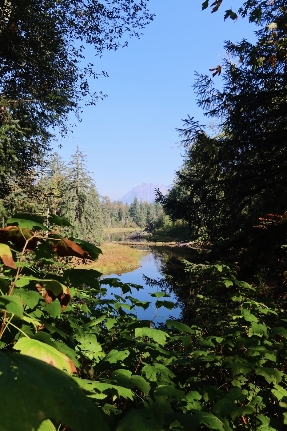 Oxbow Loop Trail by cascadialover