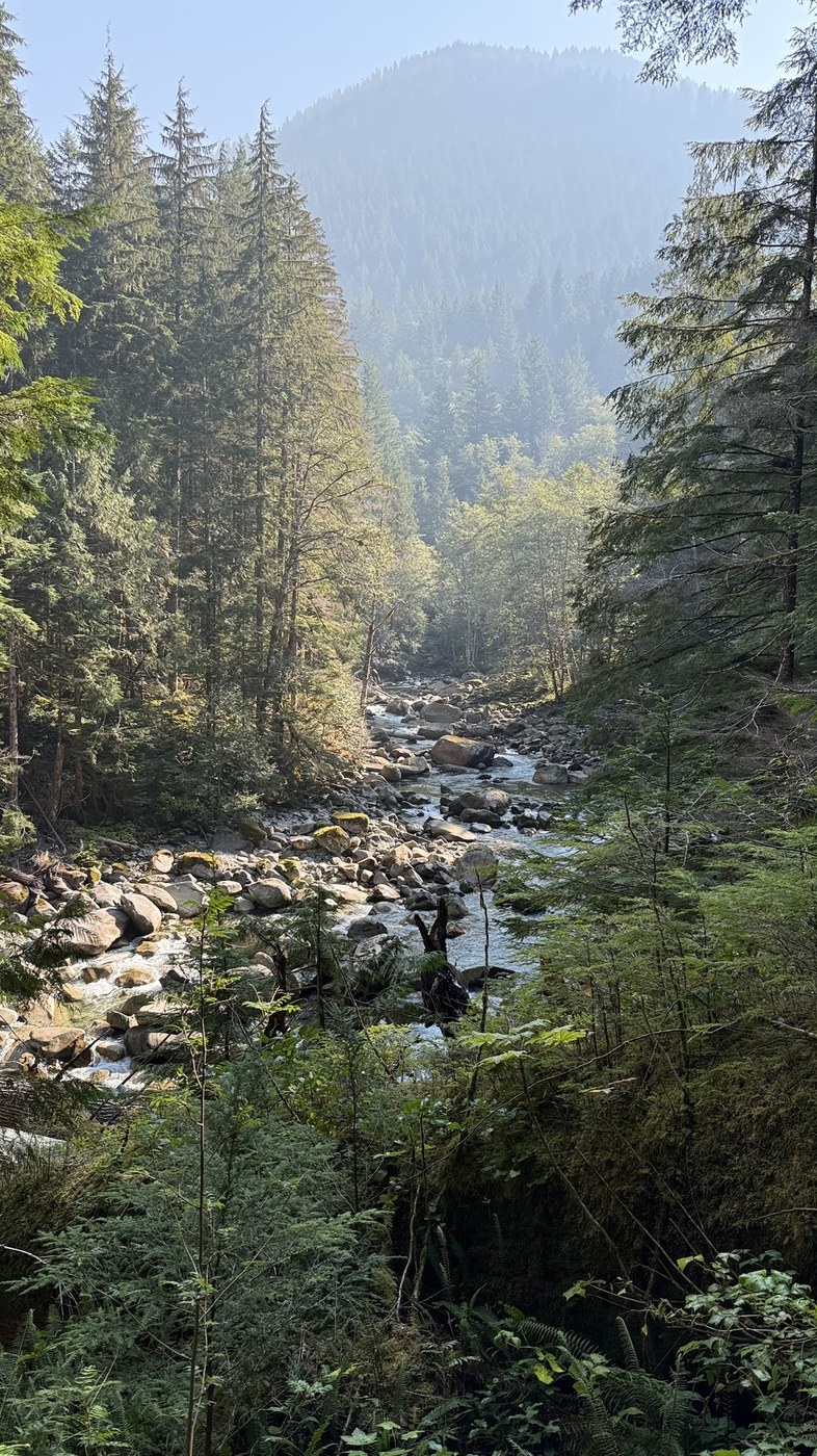 Middle Fork Snoqualmie River by Dave Schuba