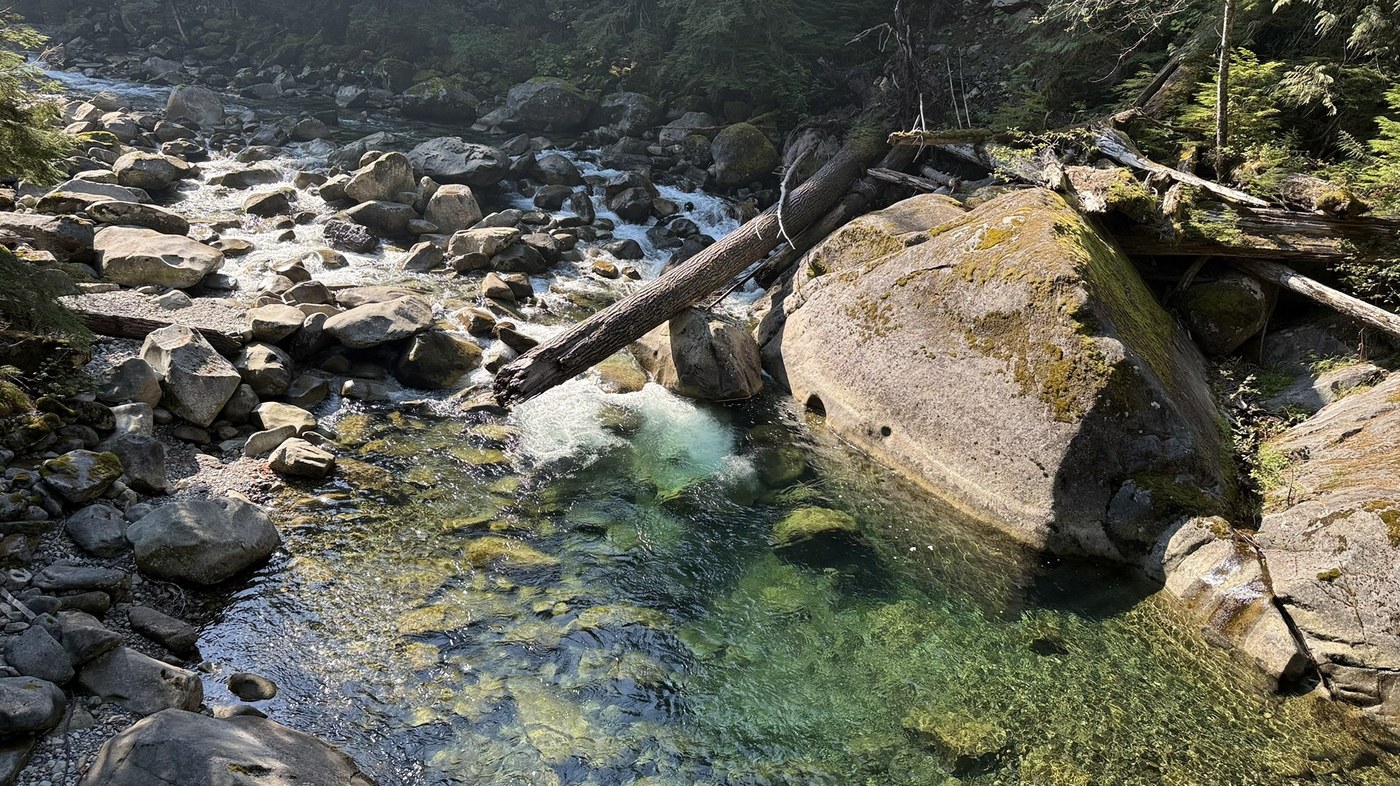 Middle Fork Snoqualmie River by Dave Schuba