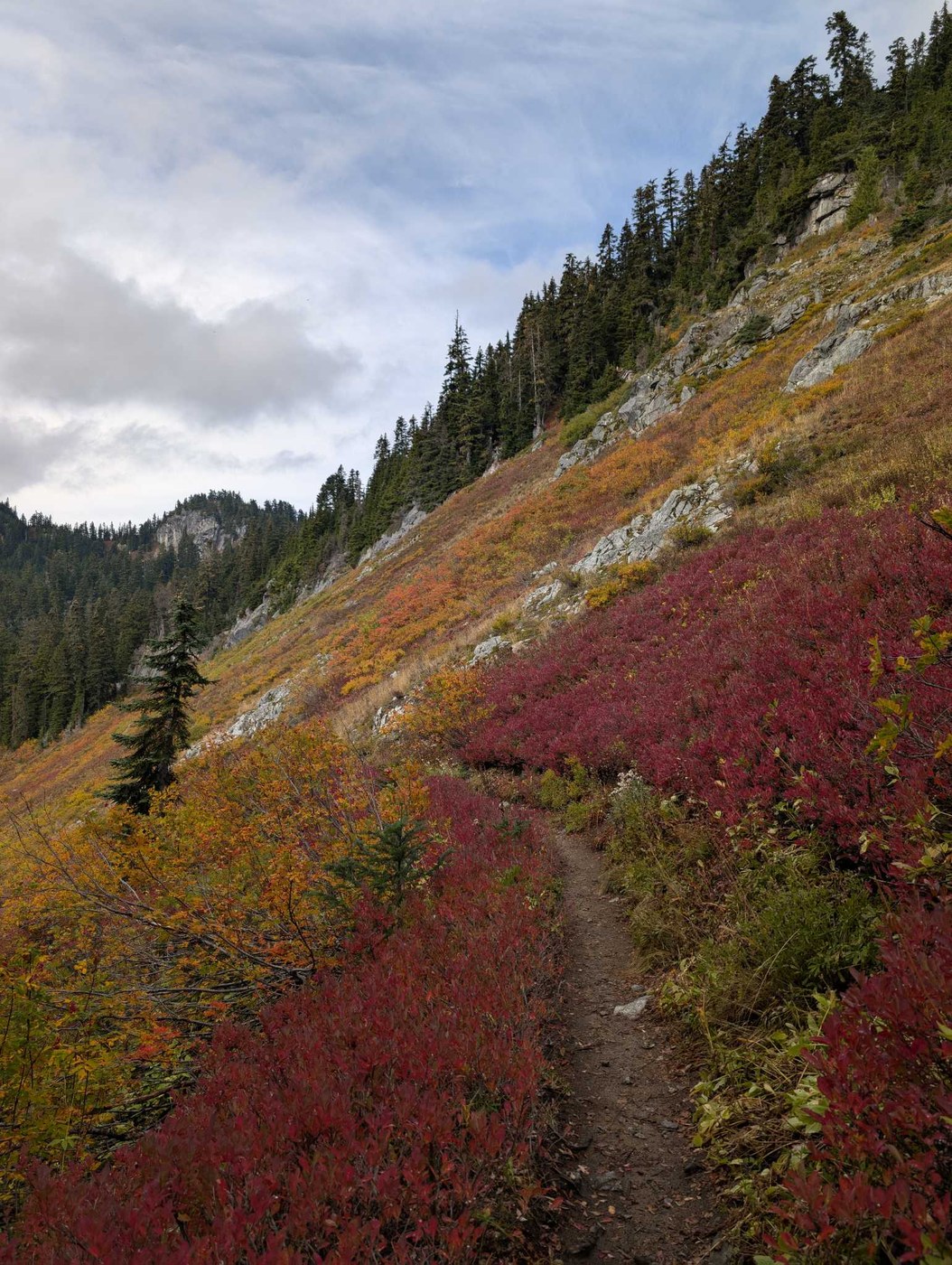 Surprise and Glacier Lakes, Trap Lake, Trap Pass, Tunnel Creek, Hope and Mig Lakes by Mancunian_hiker