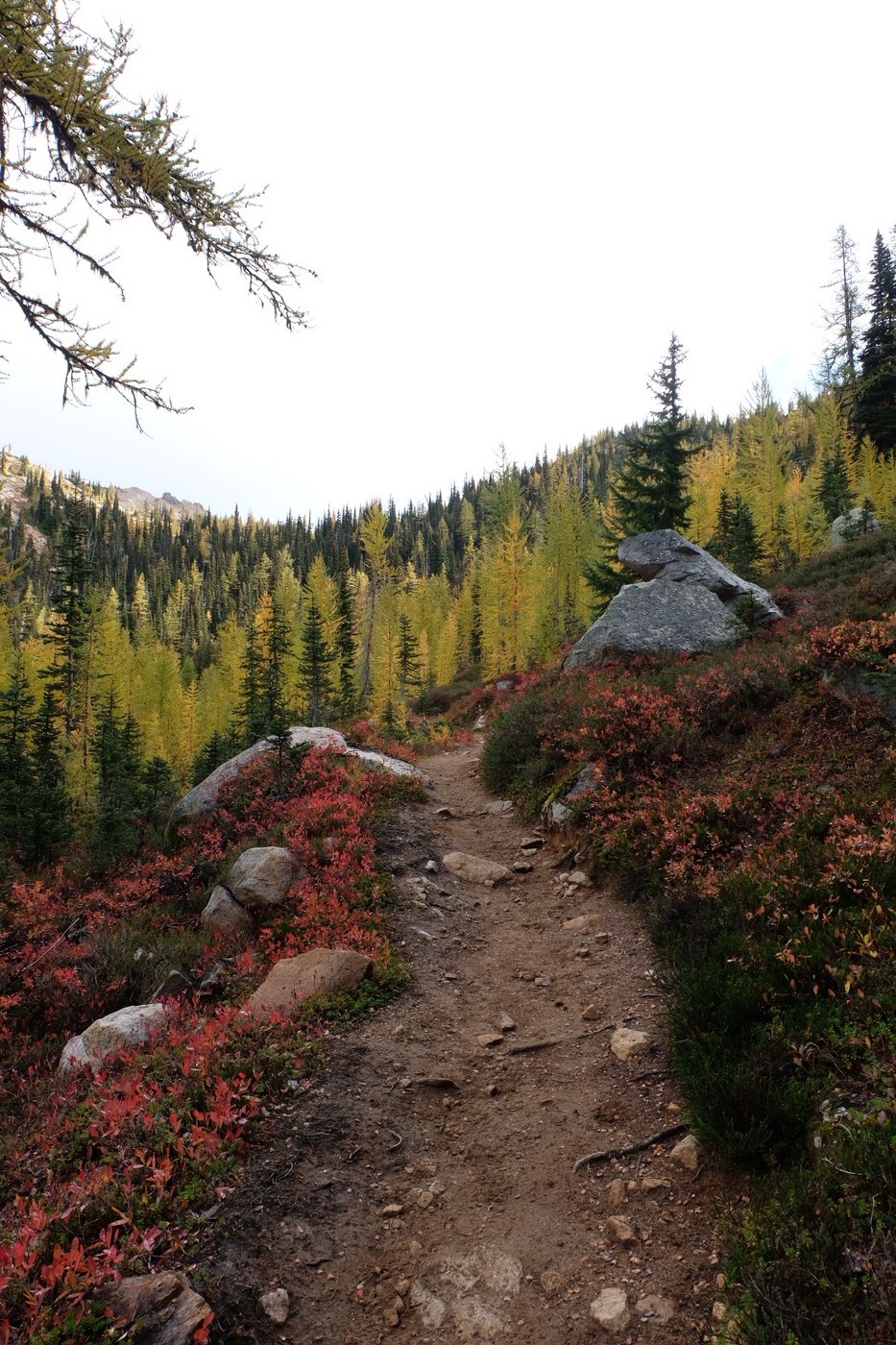 Cutthroat Pass via the Pacific Crest Trail by Sarahmerici