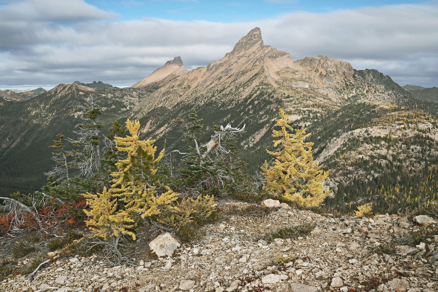 Tower Mountain from Granite Pass