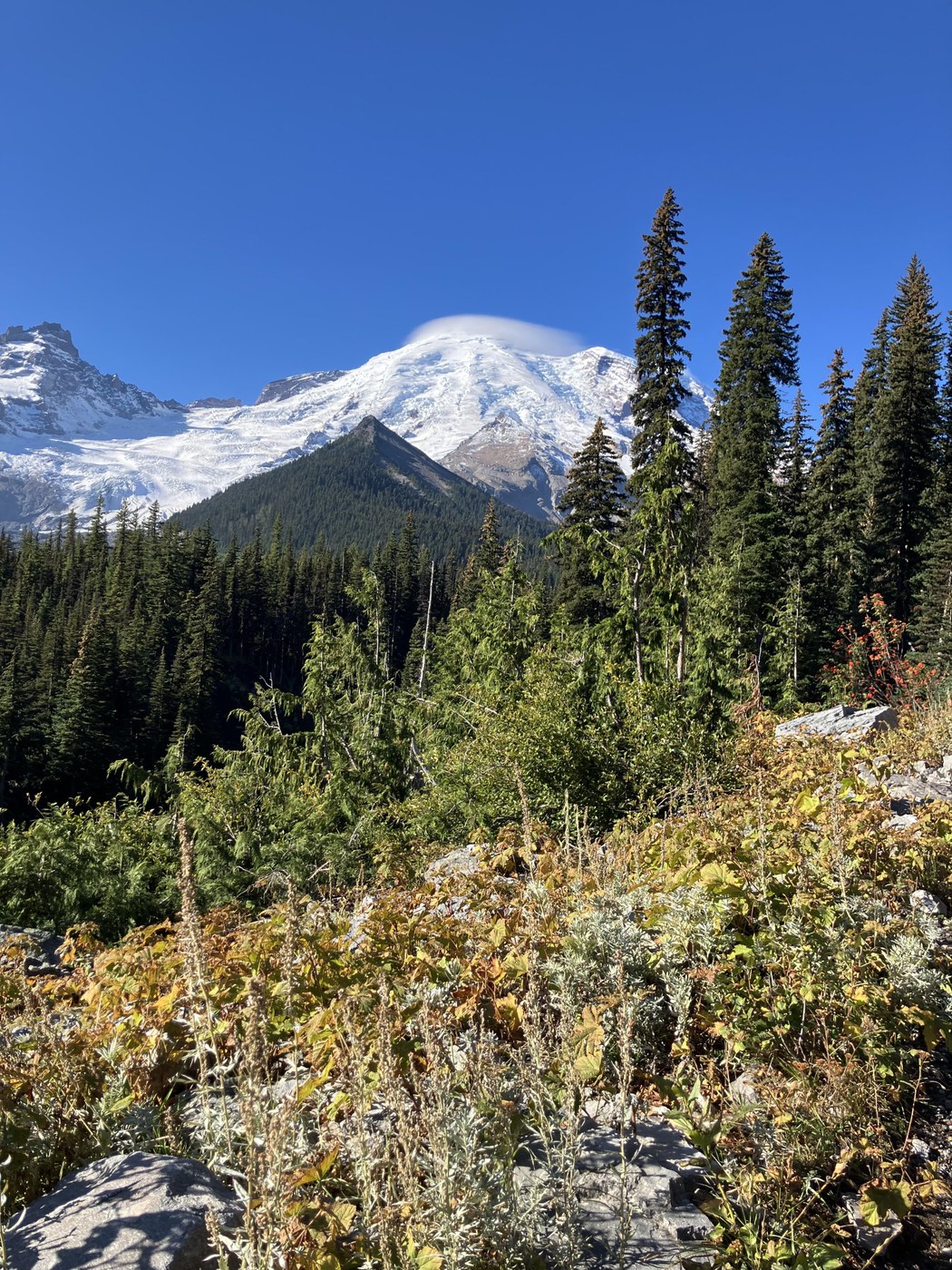 Tahoma view from trail