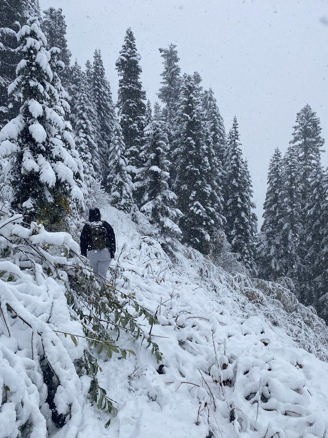 Sauk Mountain by RavenHealing