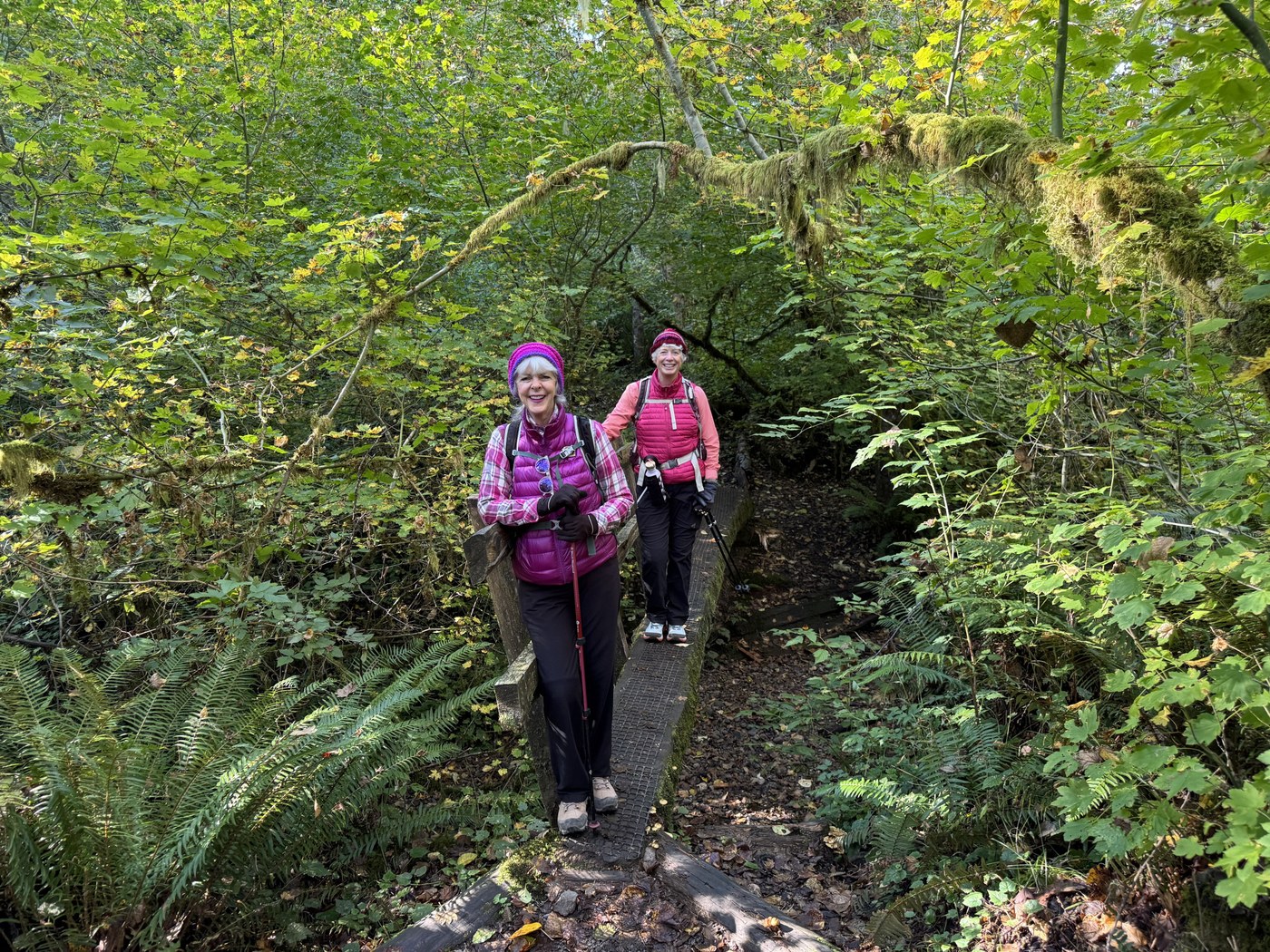 Tibbett’s Marsh Bridge