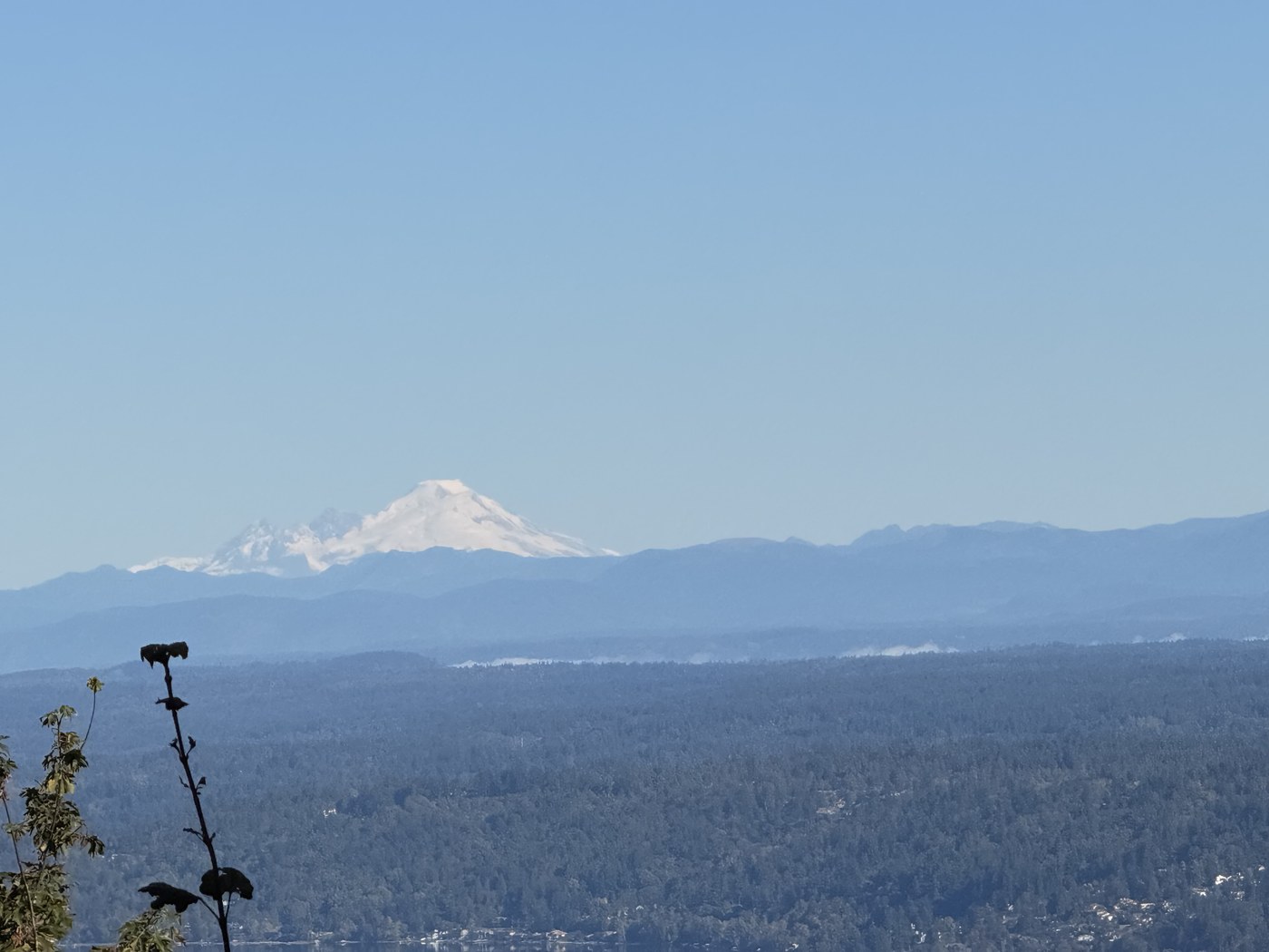 Mt Baker Million Dollar View Pagoda