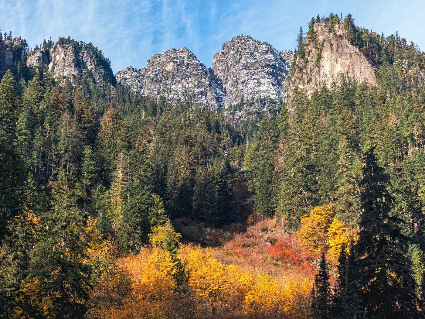 Along East Fork Foss River