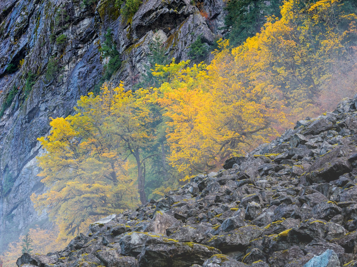 Along East Fork Foss River