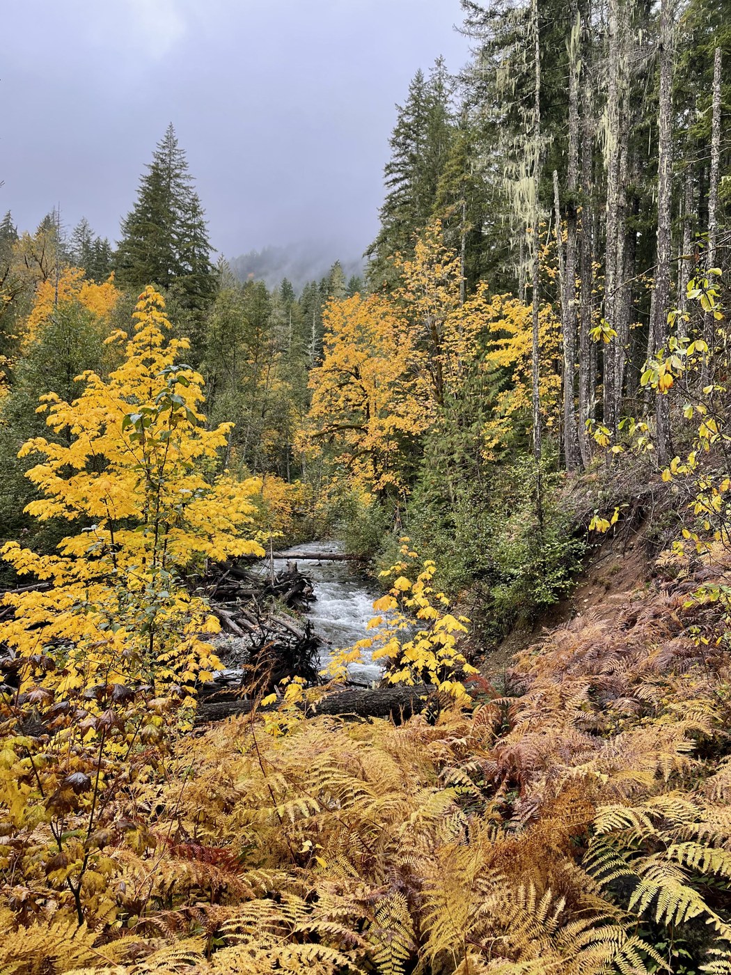 the biggest display of the colors were by the water and the first thirty minutes going counterclockwise