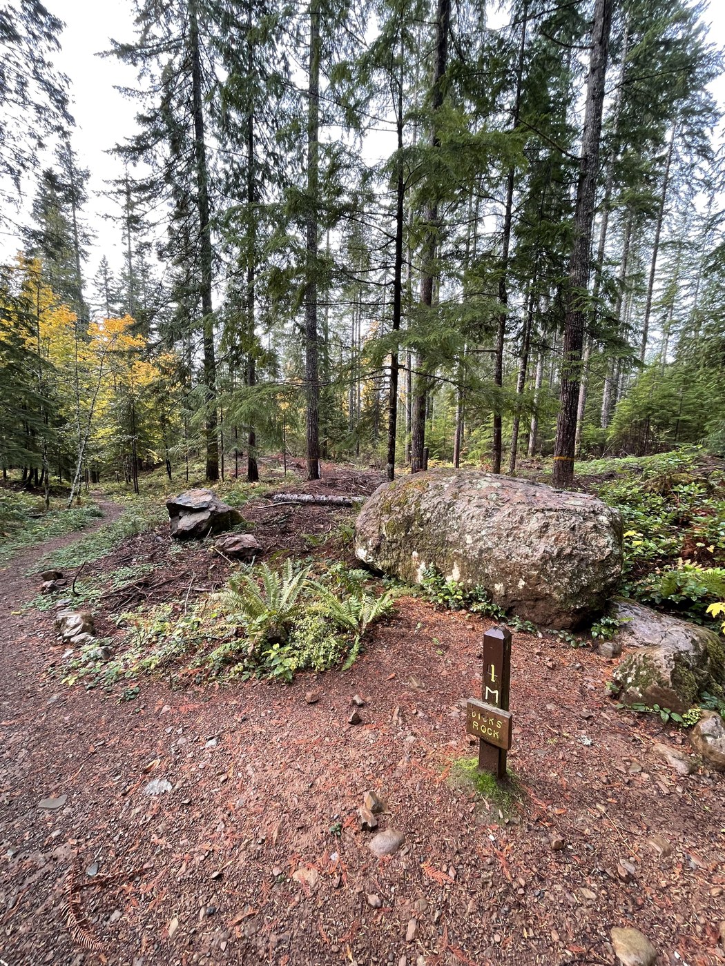 the area around Dick's rock is pretty barren