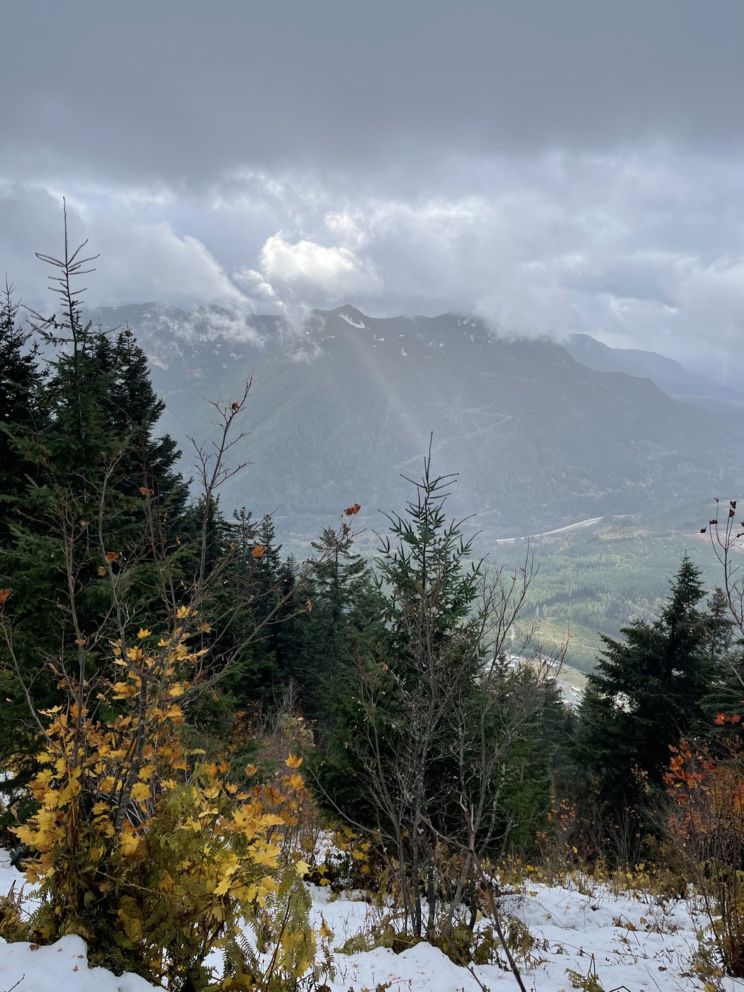 About the only view today