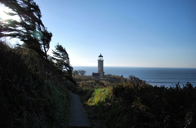 Volunteer and camp at Leadbetter Point. Photo by Kathy Bogaards. 