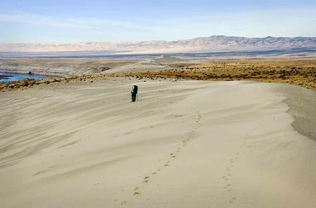 The dunes of White Bluff make a fine hike when temperatures cool down. Photo by David Hagen. 