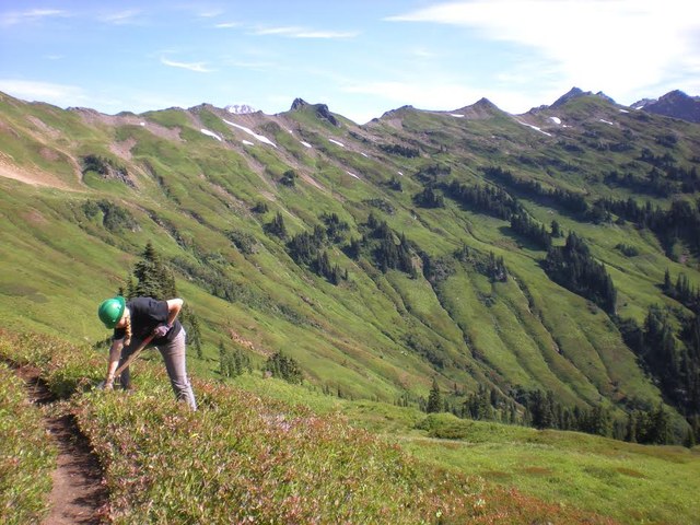 What a workplace! Photo by Anna Silver