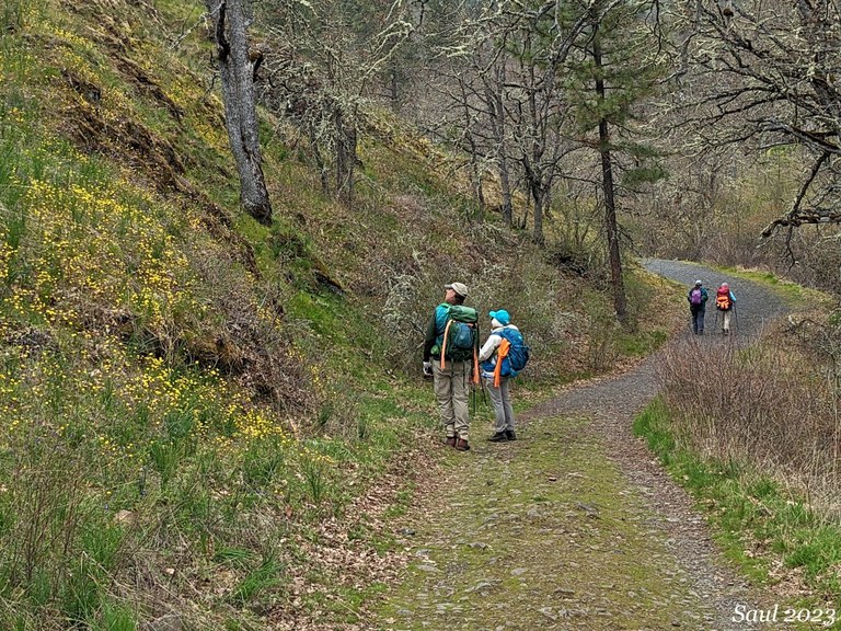 susan saul catherine creek.jpeg susan saul catherine creek.jpeg