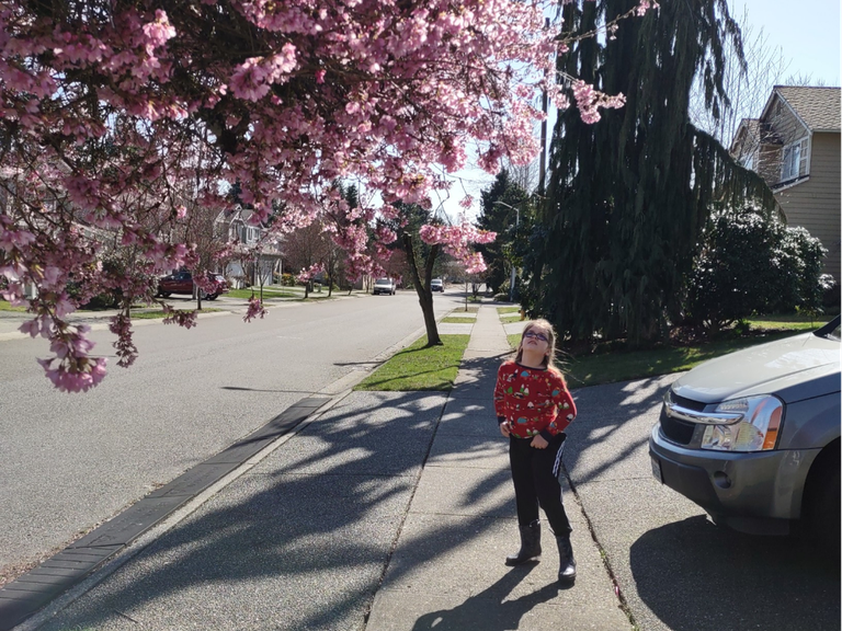 toddlertrekking my neighborhood.png toddlertrekking my neighborhood.png